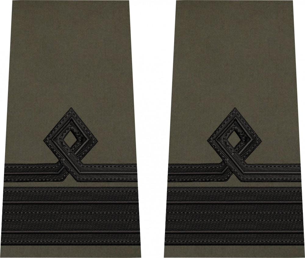 GRADE LOCOTENENT COMANDOR FORTE AERIENE KAKI ( COMBINEZON ZBOR )